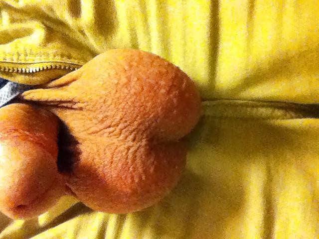 25P Lots of my cock and my big balls!