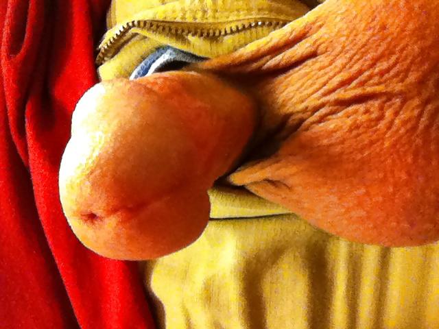 25P Lots of my cock and my big balls!