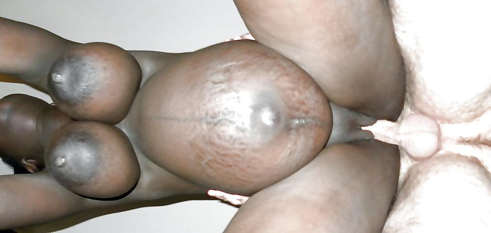 25P Exotic Tits 31