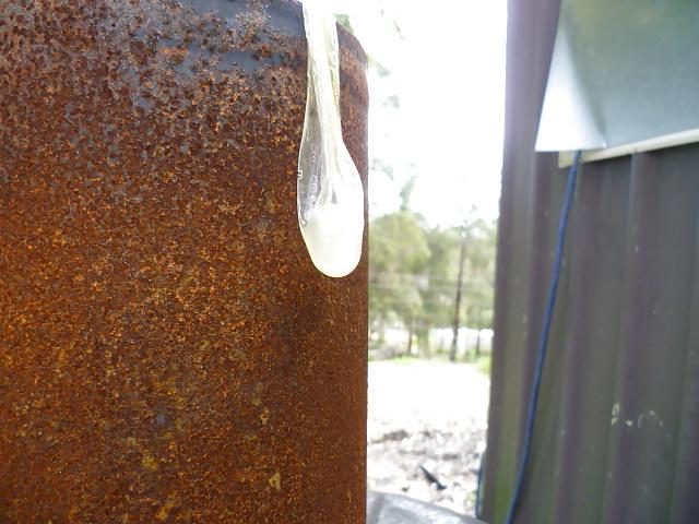 25P Drinking cum