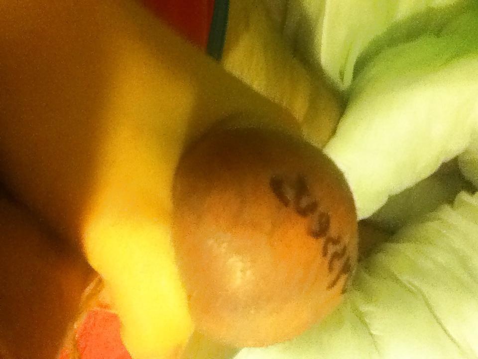 16P Owned Cock and Balls