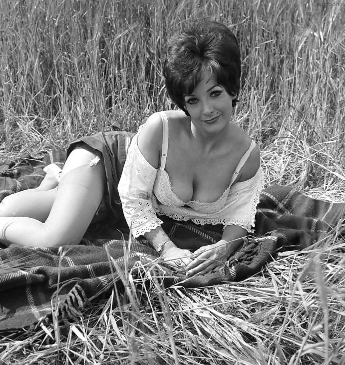 19P Vintage 309 (mix)