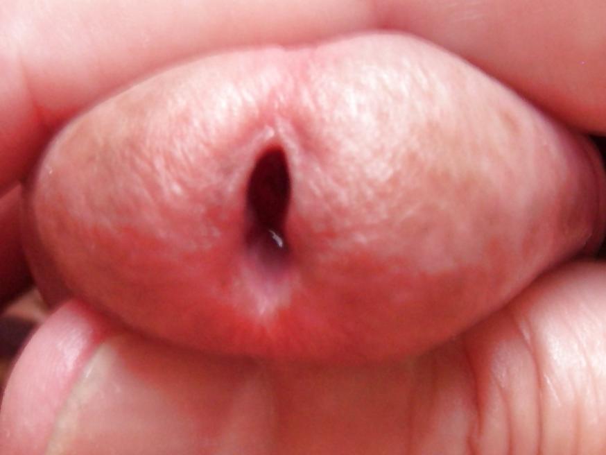25P Cock-Balls-Ass