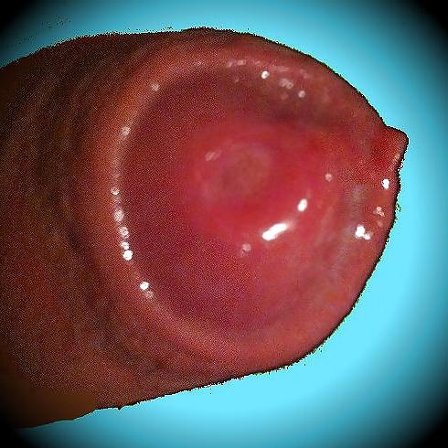 25P Cock-Balls-Ass