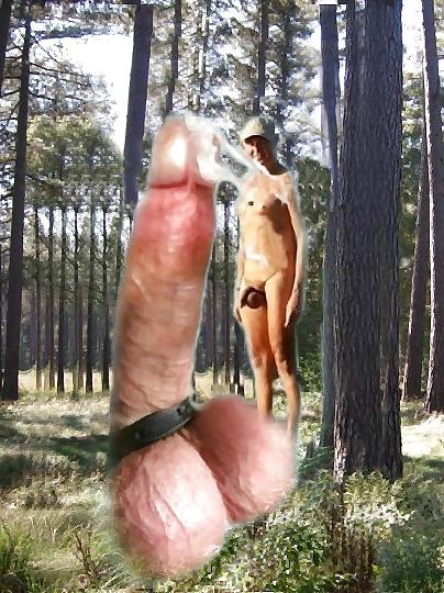 25P Cock-Balls-Ass