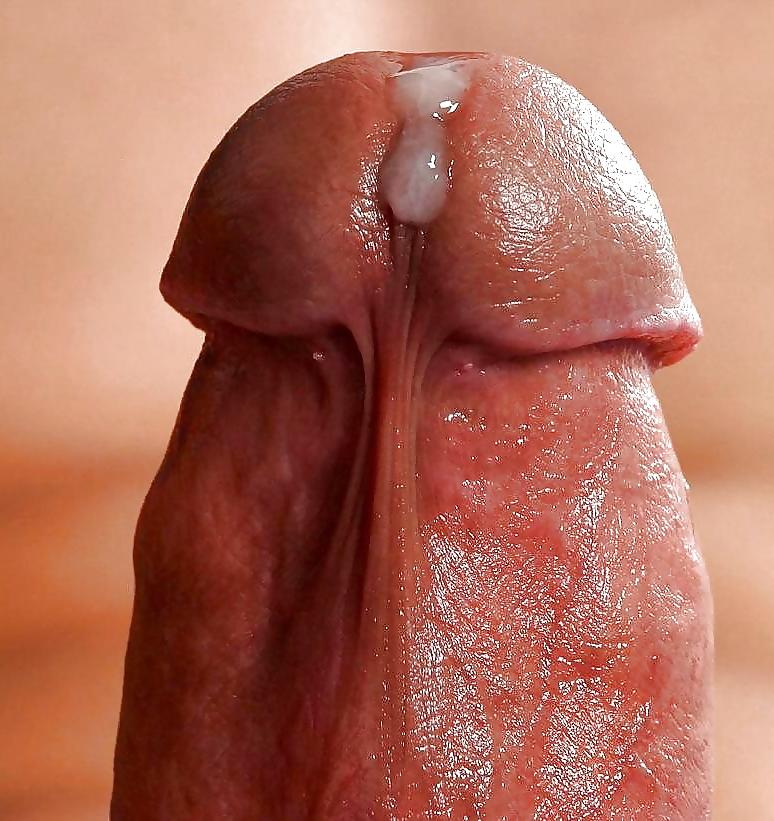 25P Cock for cuckold's Mistress 