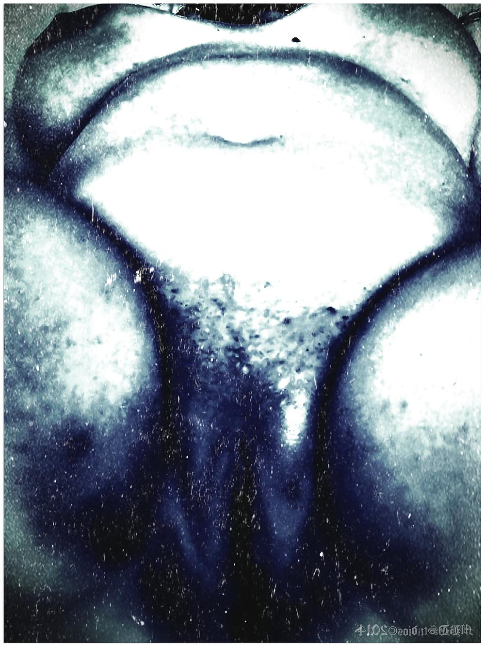 6P Bound Blue Orchid 
