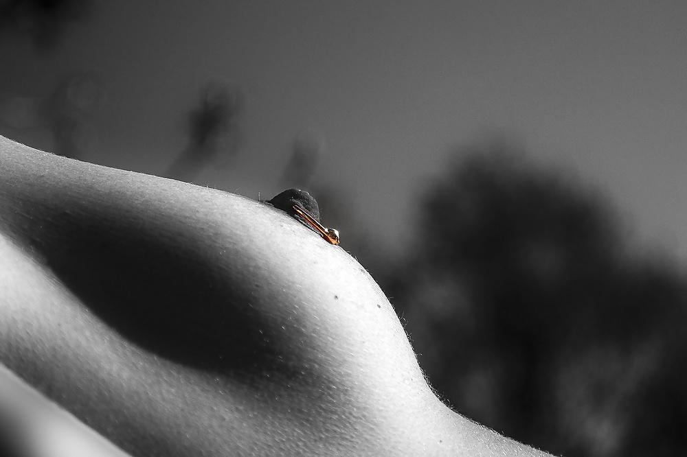 25P Large, huge nipples from matures and young girls
