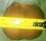 10P Huge Balls Measured For Size....
