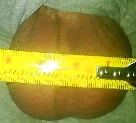 9P Big Balls - Bull's Balls