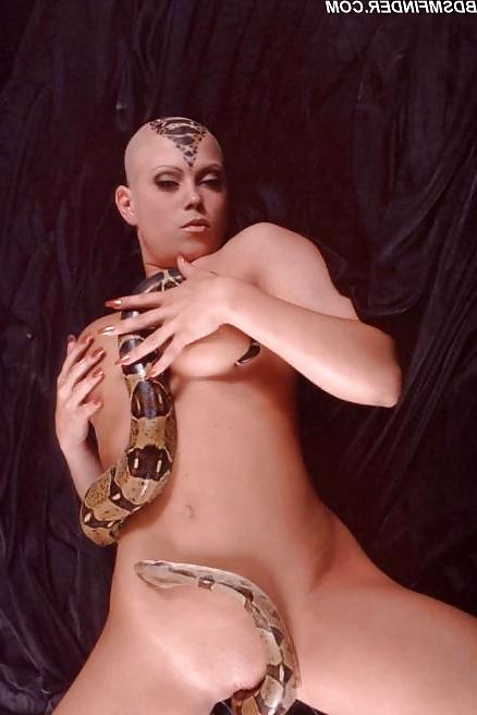 15P Exotic Completely Shaved Snake Charmer 