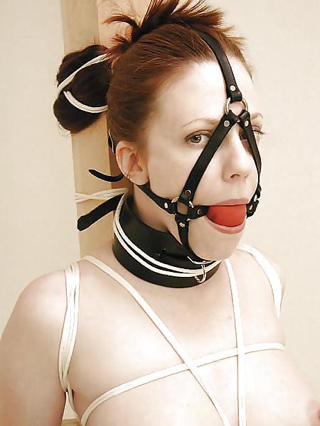 23P Restrained & Bound