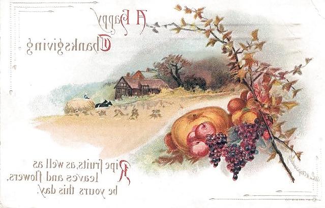 25P Thanksgiving - Vintage Postcards 2