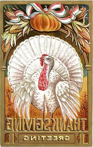 25P Thanksgiving - Vintage Postcards 2
