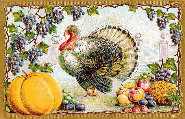 25P Thanksgiving - Vintage Postcards 2