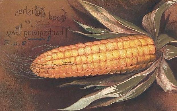 25P Thanksgiving - Vintage Postcards 2