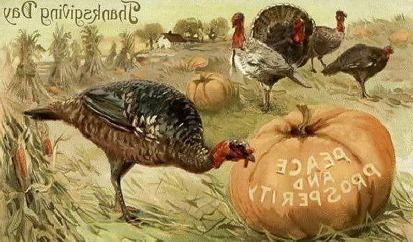 25P Thanksgiving - Vintage Postcards 2
