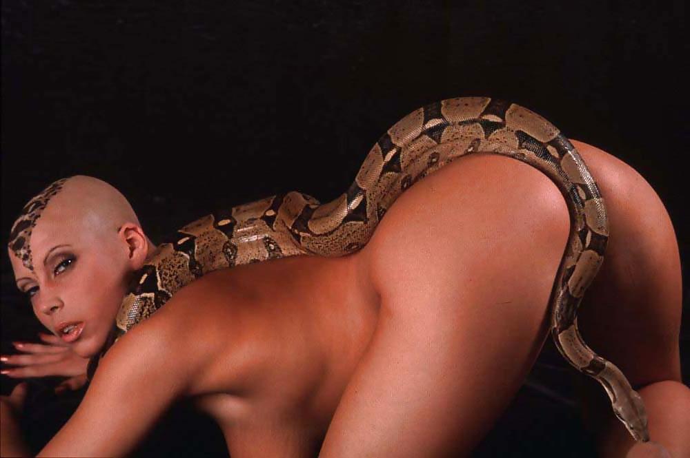 18P Exotic Babe w a Python On Her Hot Body