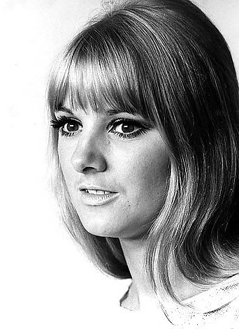 25P Doctor Who Companions