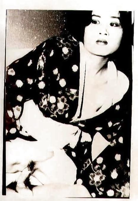 6P Japanese Vintage (wo)