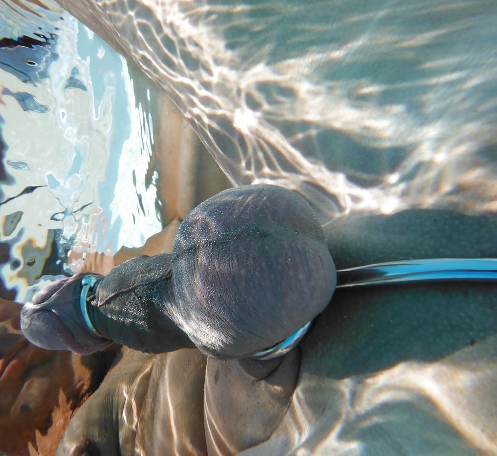 12P Cockring plug en piscine