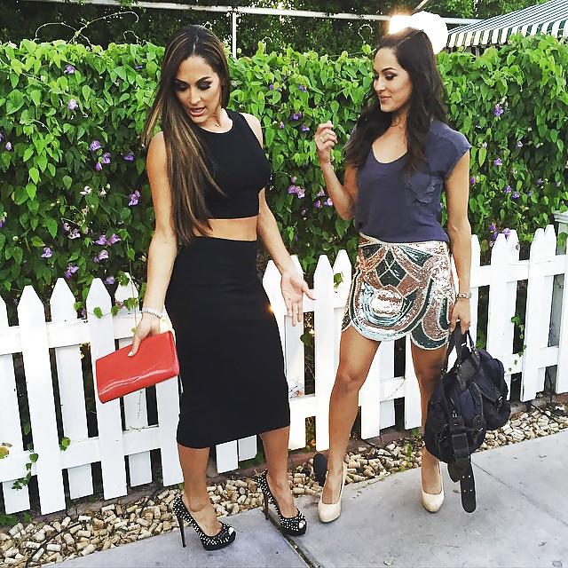 25P WWE Bella Twins