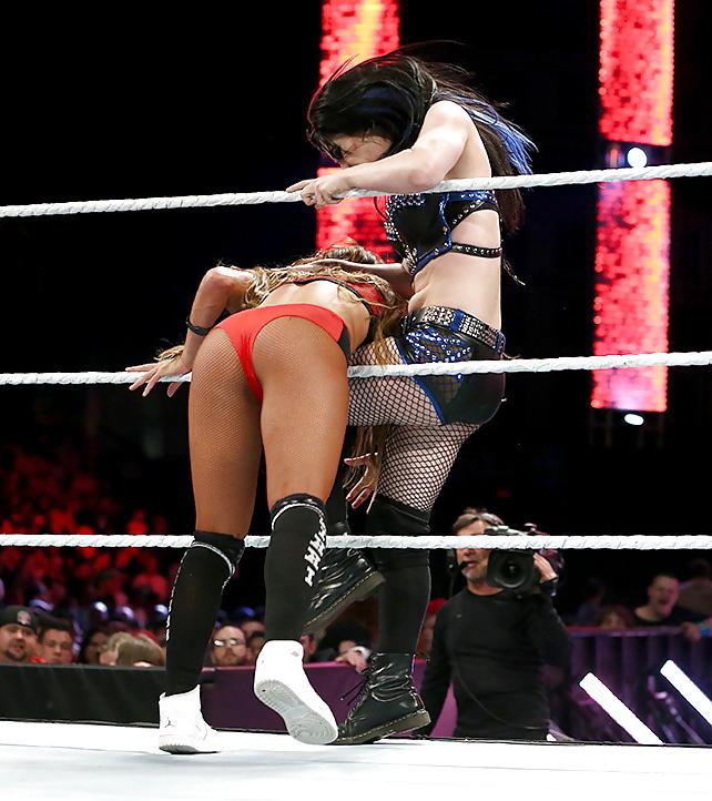 25P WWE Bella Twins
