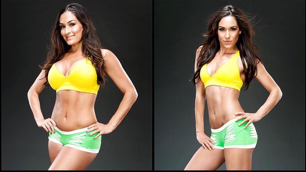 25P WWE Bella Twins
