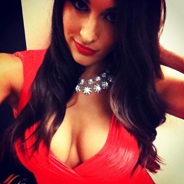 25P WWE Bella Twins