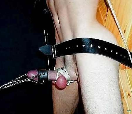 16P Cocks and balls all tied up ,crushed or ringed!!!!!