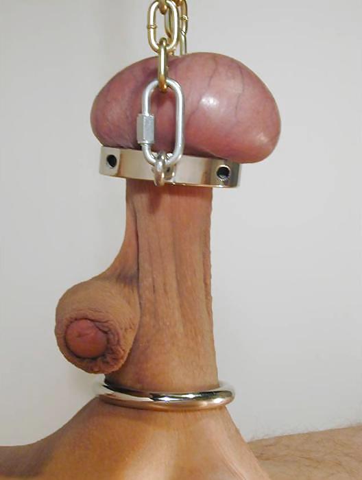 16P Cocks and balls all tied up ,crushed or ringed!!!!!