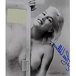 15P Vintage hotties