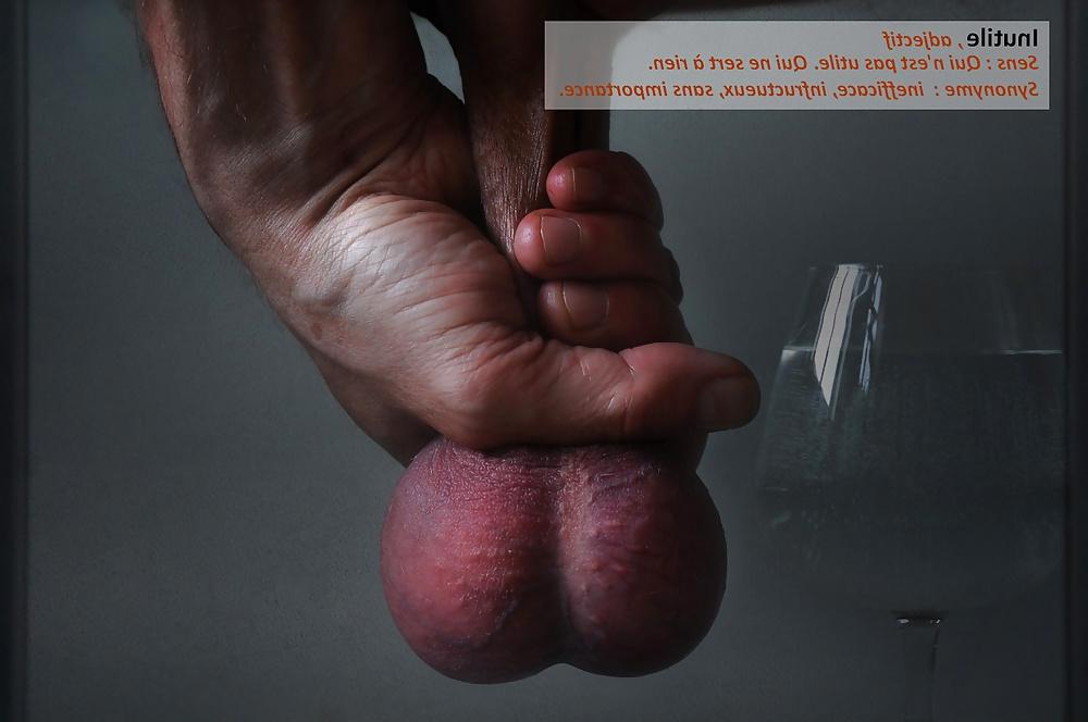19P French Cuckold Captions 03