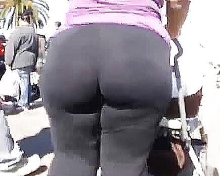 25P Donk wit lines 19
