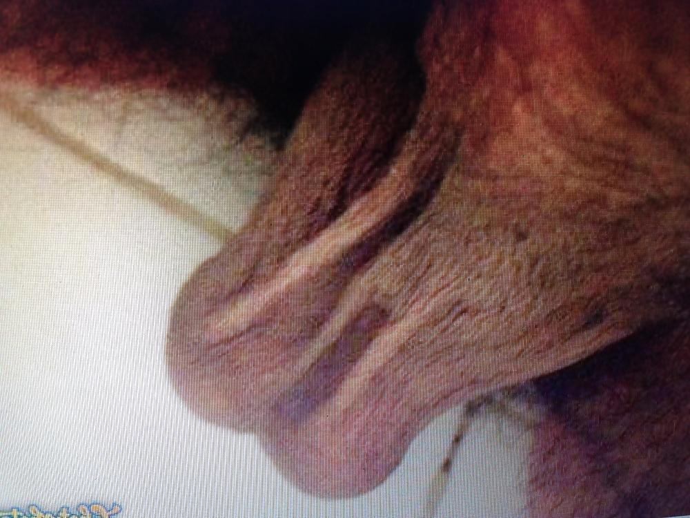 21P Indian cock balls pubes precum beautiful boy