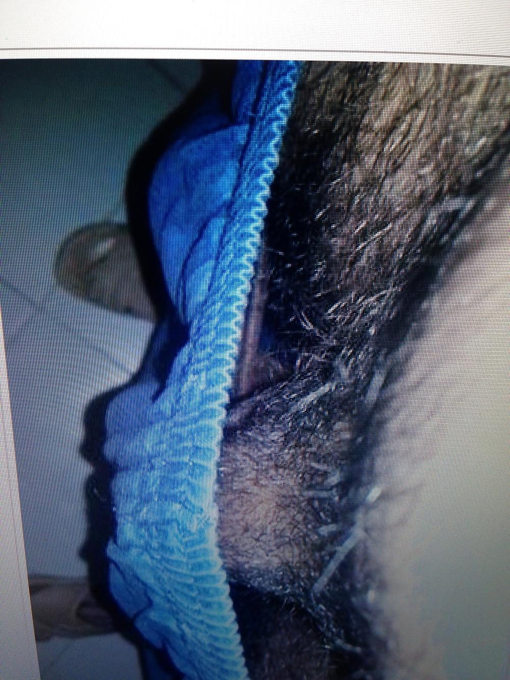 21P Indian cock balls pubes precum beautiful boy