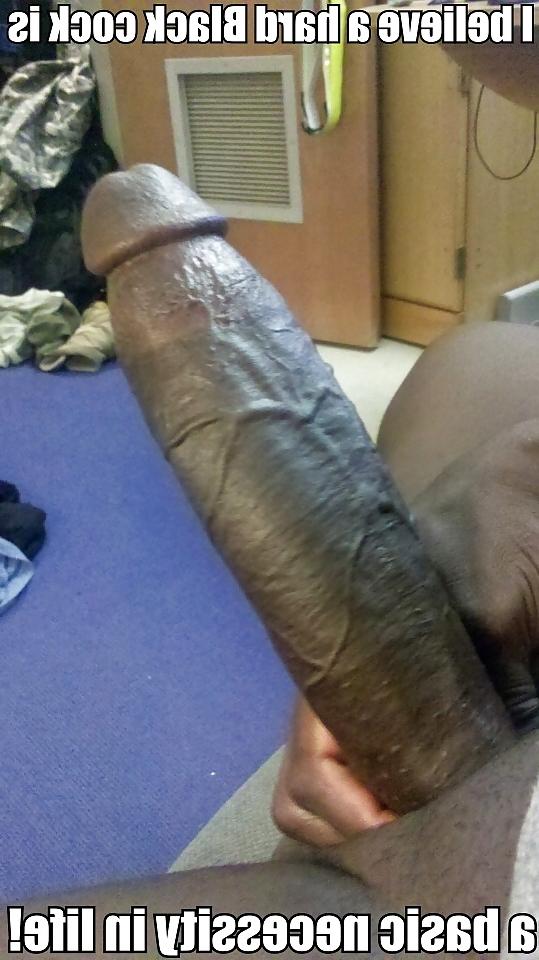 25P More Horny Sissy's Loving Big Cock