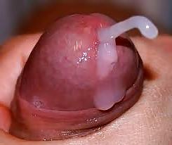 5P Pre-Cum 