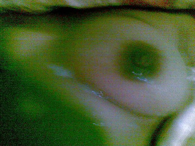 9P Yula Cum on tits