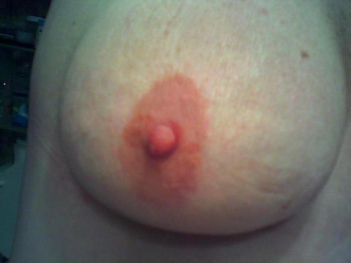 24P Yummy Nipples