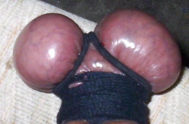 6P KICK HIS BALLS 