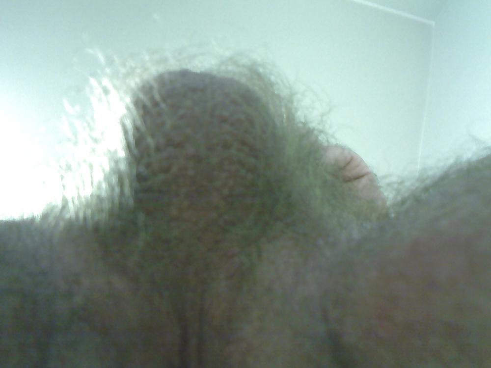 14P My hairy cock & balls