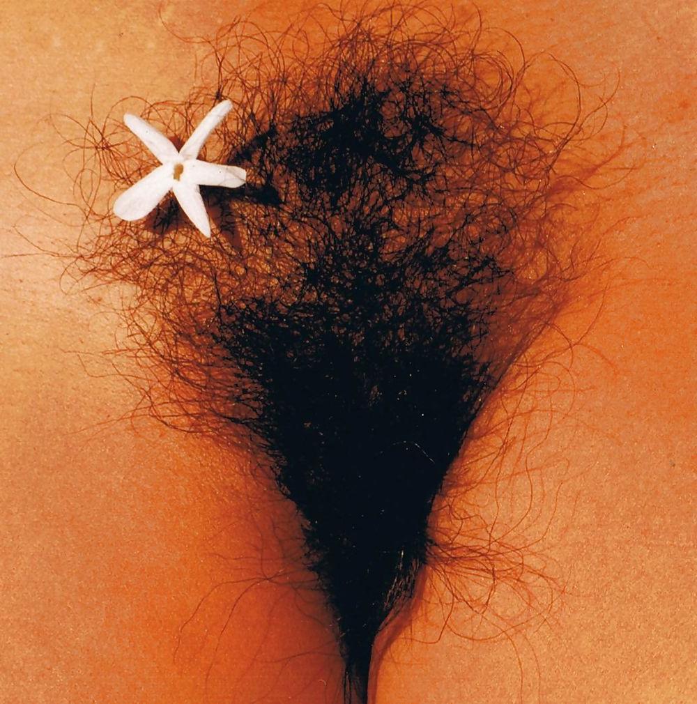 12P Sushicook's erotic photography