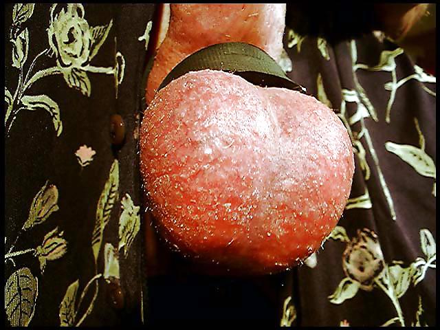 25P Cock - Dick - Pene - Schwanz - Penis - Balls - Bondage