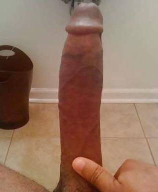 21P Hot polish dicks