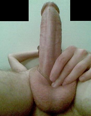 21P Hot polish dicks