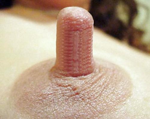 25P Big Nipples