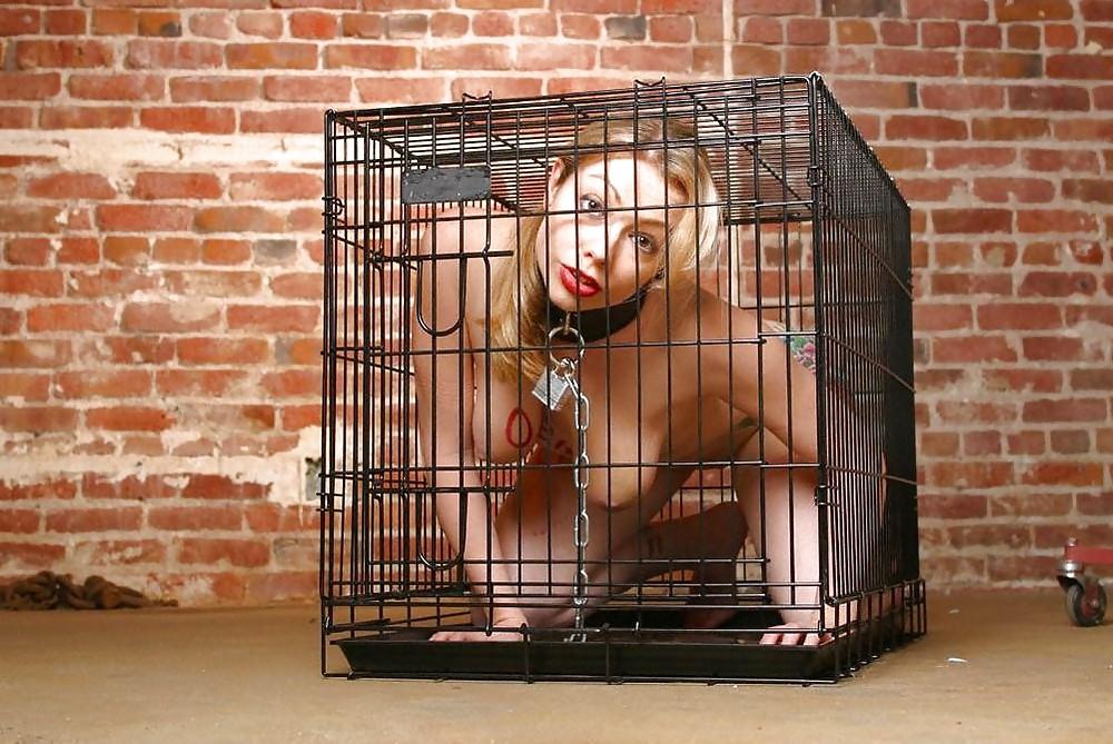 25P Sleazy Scumbag Skanks: Adrianna Nicole - FTW88