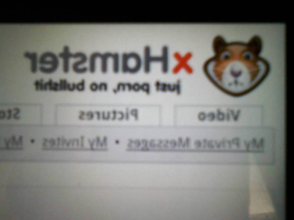 13P My Profile, My Intro