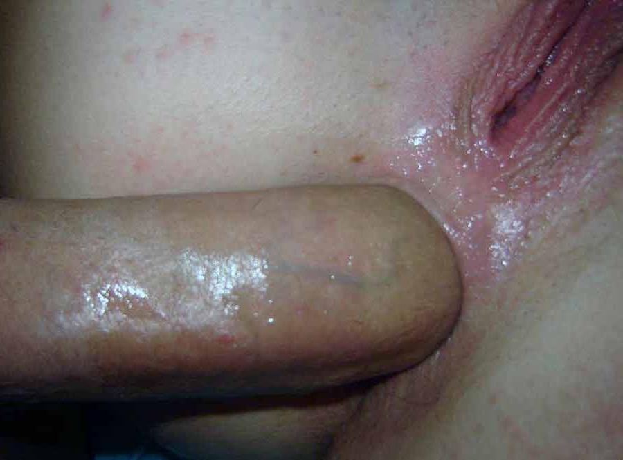 15P Picture selection of amateur naughty bitches getting ass-fucked 